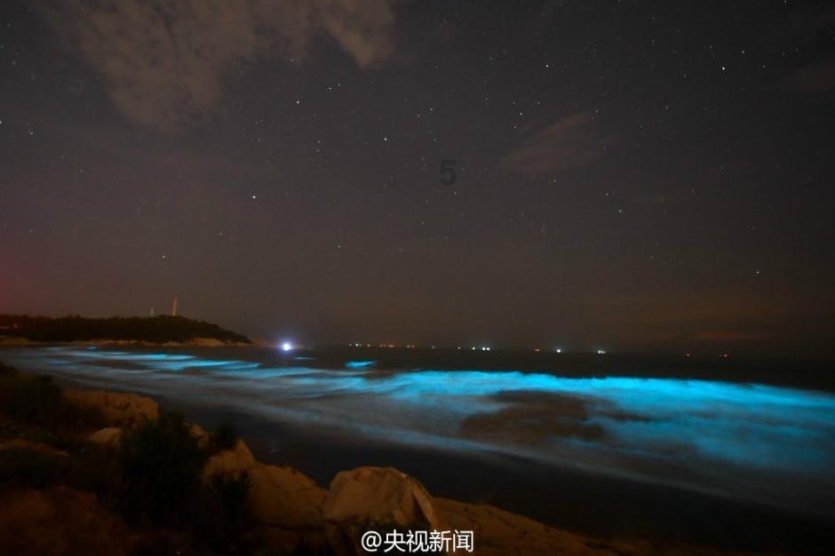 救援墨镜哥